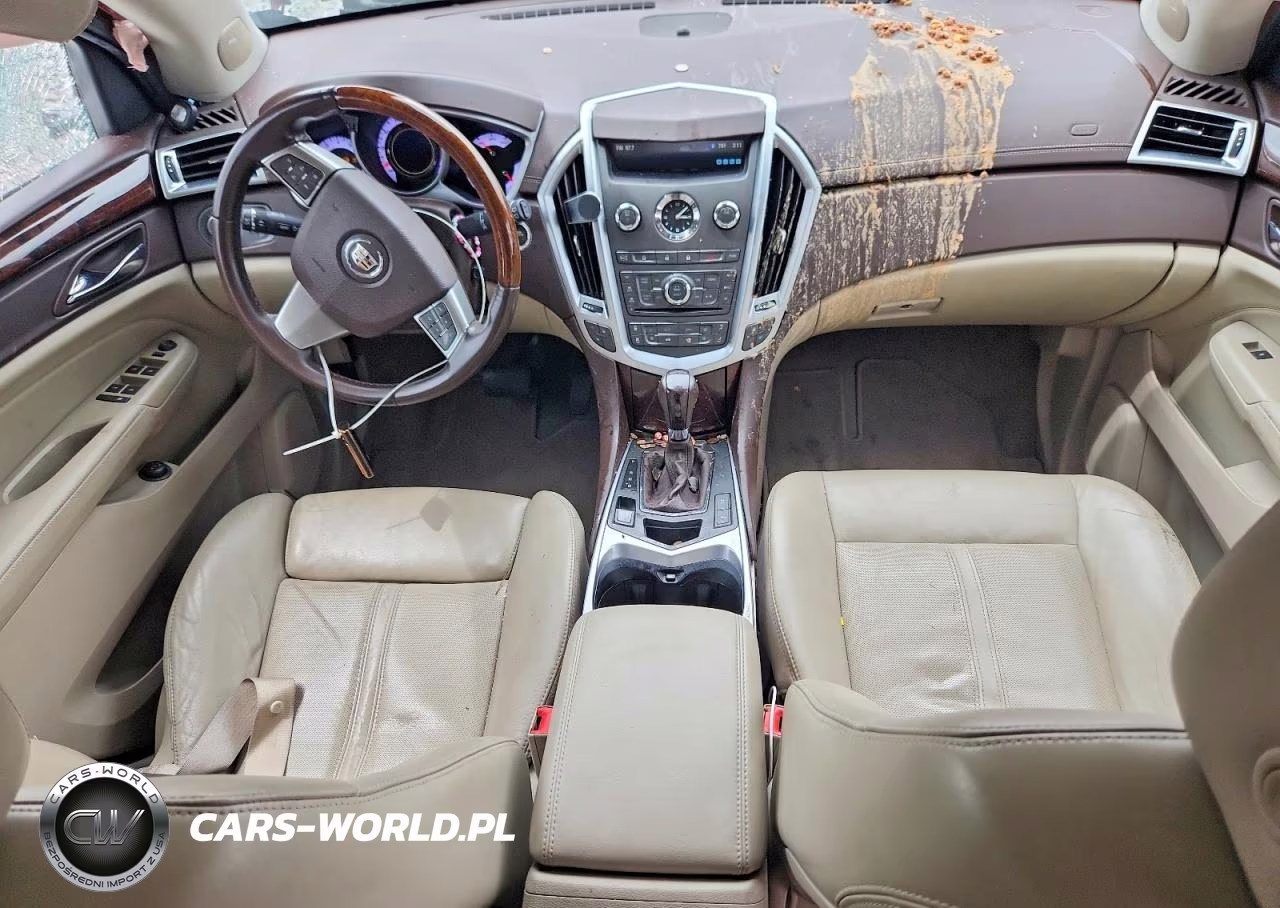 2010 Cadillac Srx Luxury Collection VIN:3GYFNAEY4AS648607 - 8