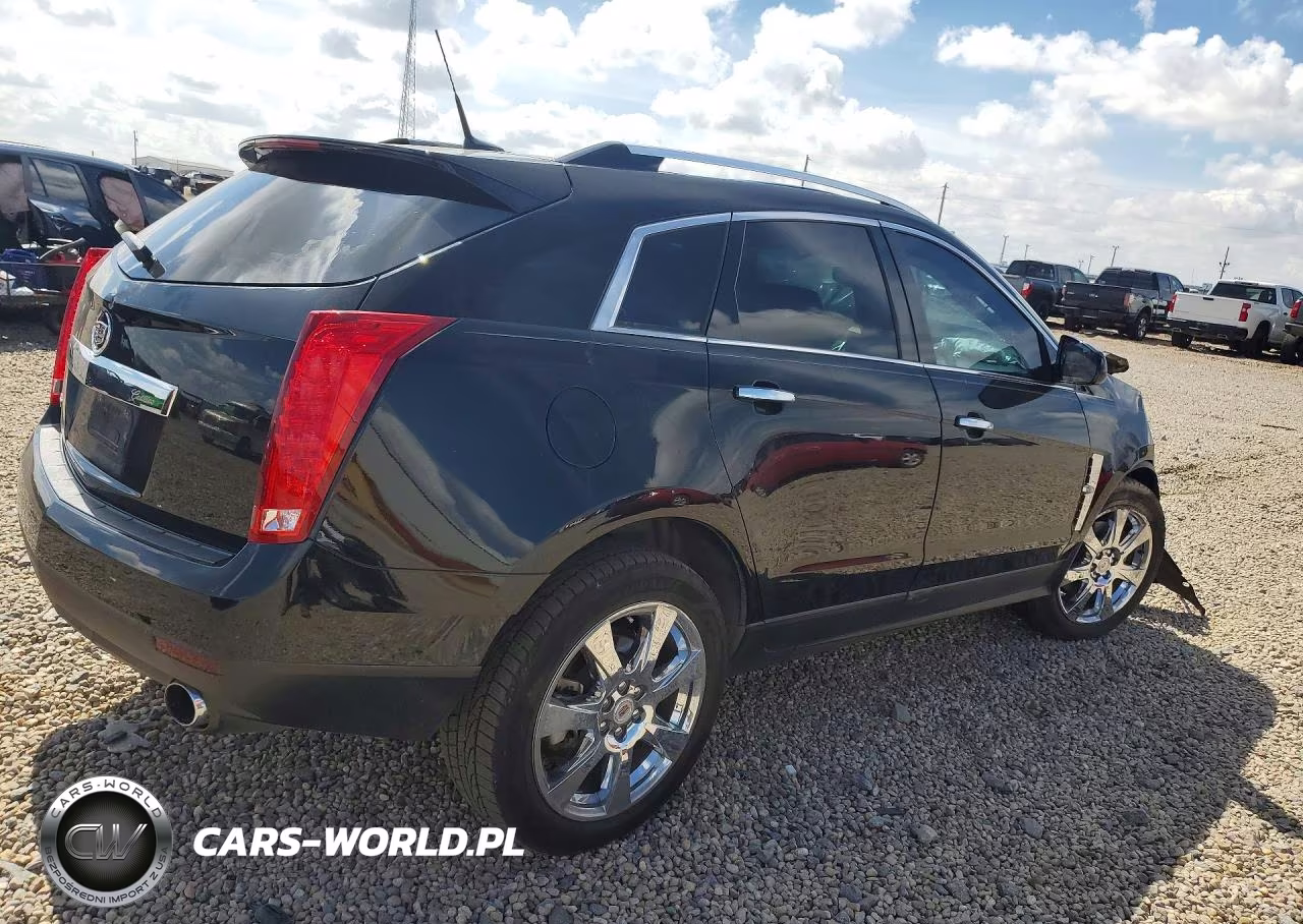 2010 Cadillac Srx Performance Collection VIN:3GYFNBEY1AS614193 - 3