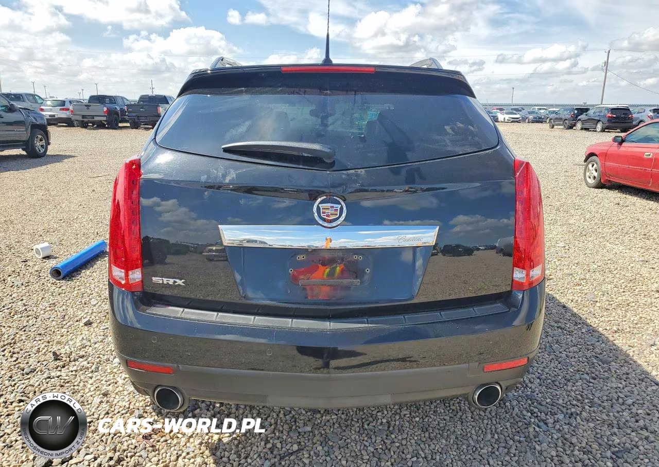 2010 Cadillac Srx Performance Collection VIN:3GYFNBEY1AS614193 - 6