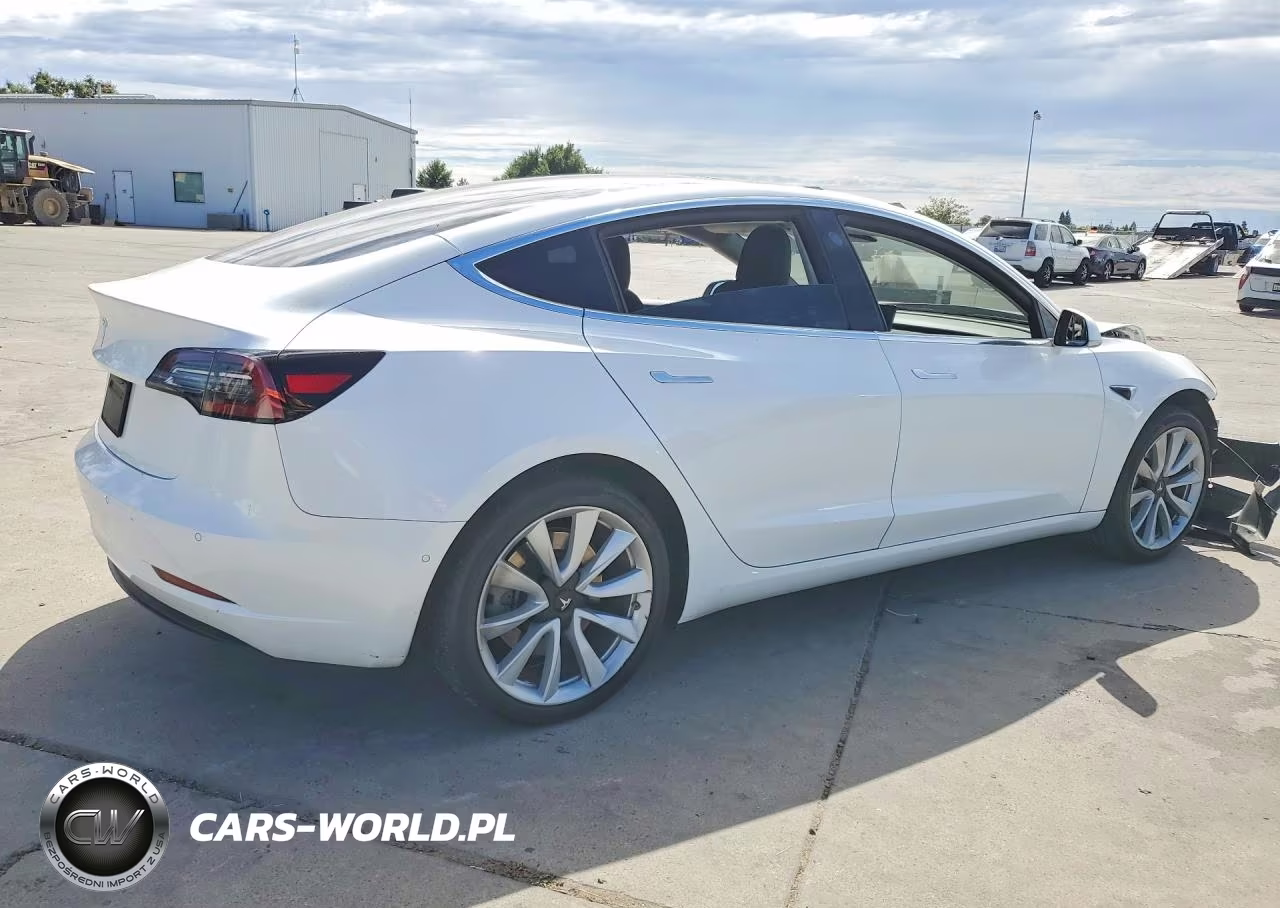 2019 Tesla Model 3 VIN:5YJ3E1EA1KF446524 - 3