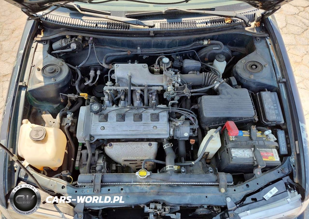 1996 Toyota Corolla Base VIN:2T1BA02E8TC156652 - 11