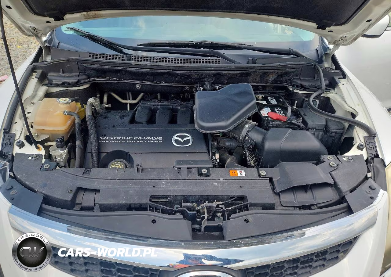 2009 Mazda Cx-9 4D VIN:JM3TB28A090174879 - 12