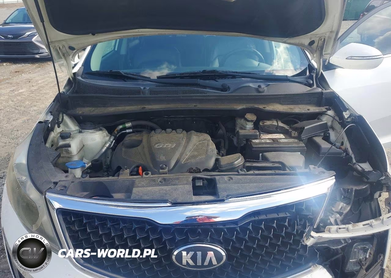 2014 Kia Sportage Ex VIN:KNDPC3AC4E7607825 - 11