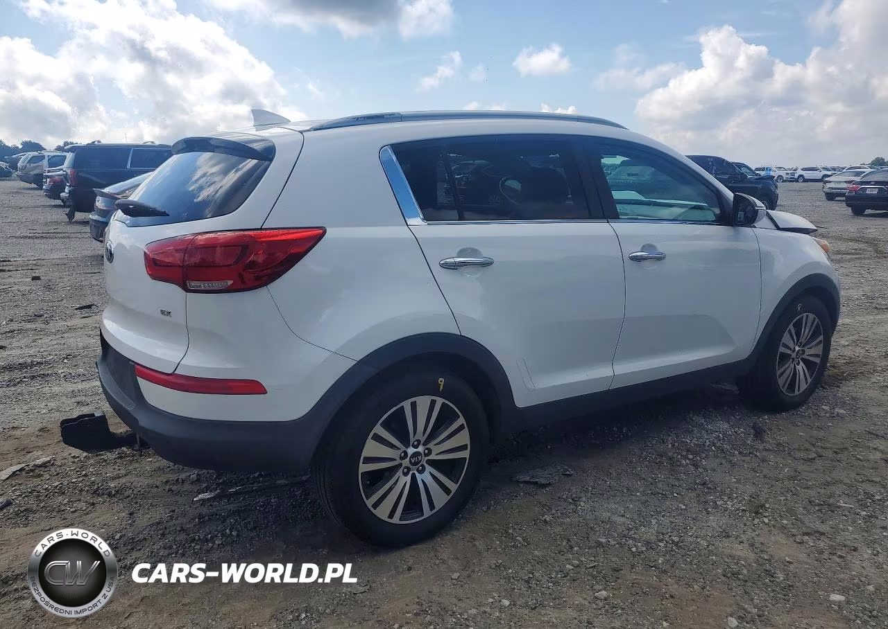 2014 Kia Sportage Ex VIN:KNDPC3AC4E7607825 - 3