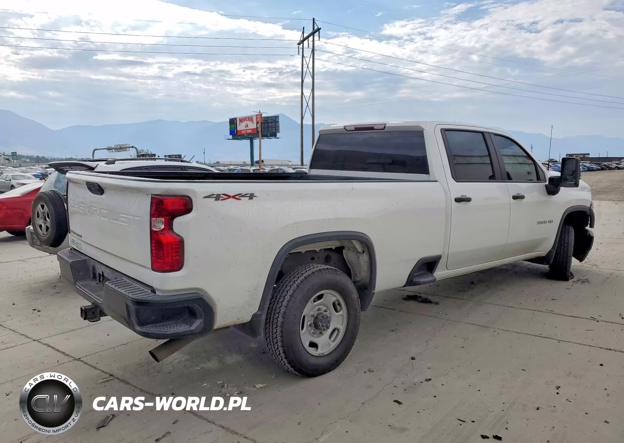 2021 Chevrolet Silverado K2500 Heavy Duty VIN:1GC4YLE73MF210676 - 3