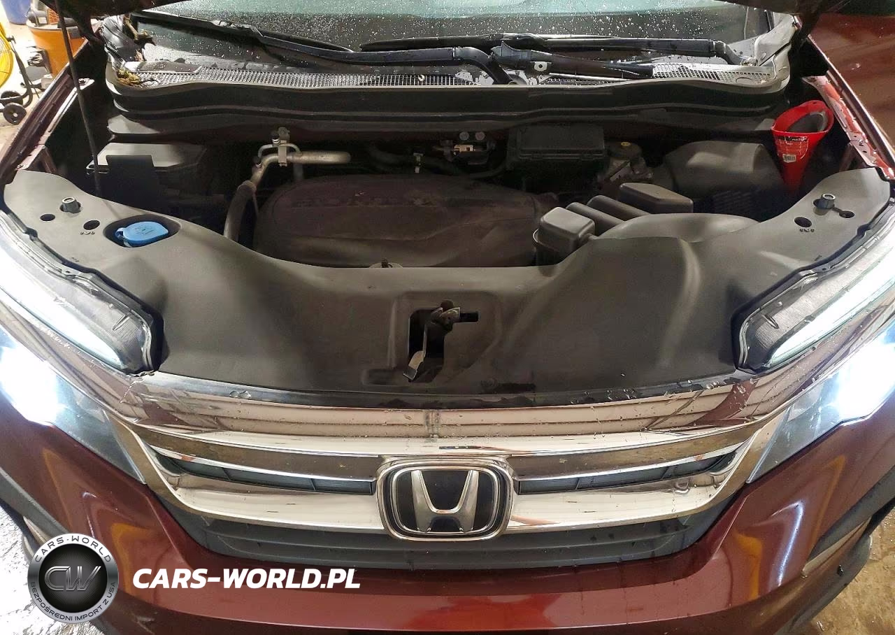 2019 Honda Pilot Exl VIN:5FNYF6H57KB046109 - 12