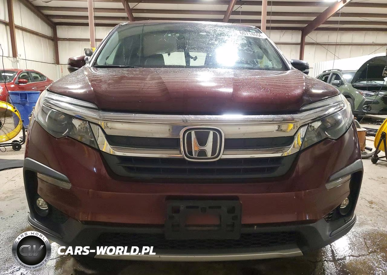 2019 Honda Pilot Exl VIN:5FNYF6H57KB046109 - 5