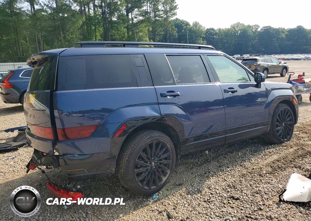 2025 Hyundai Santa Fe Calligraphy VIN:5NMP5DGL3SH129490 - 3