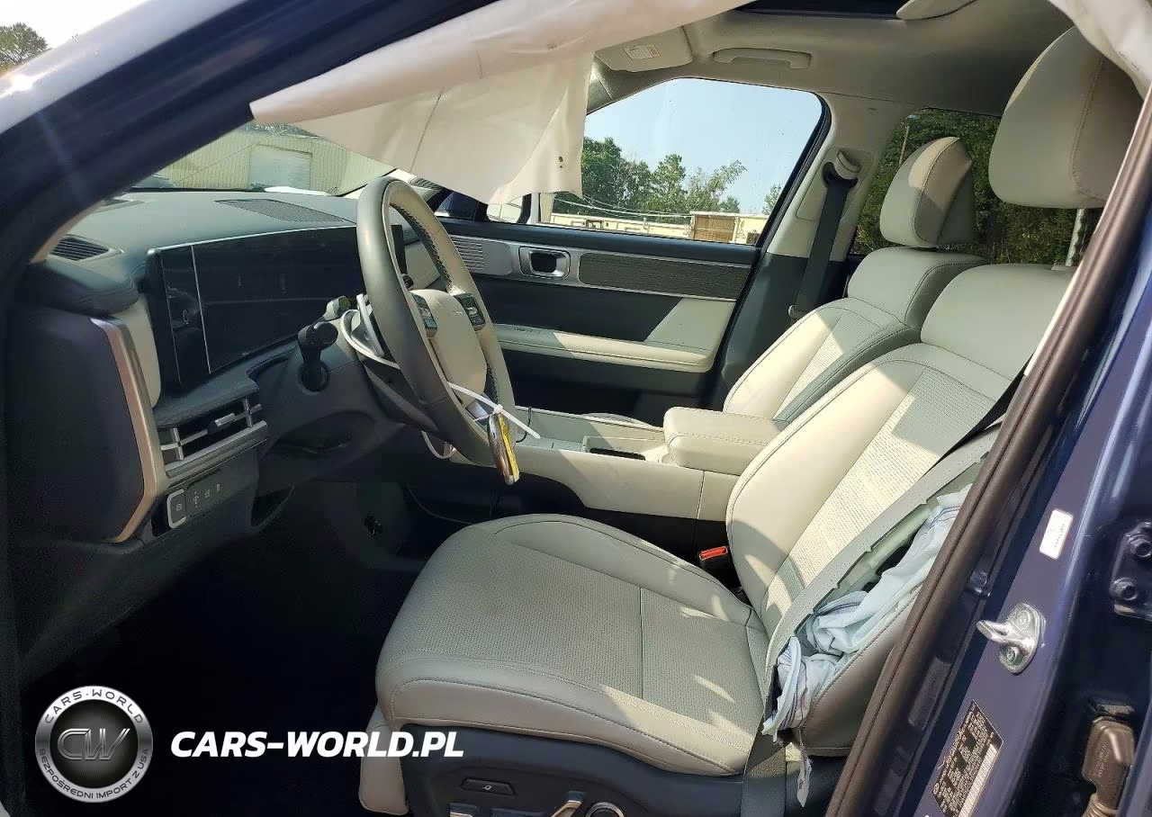 2025 Hyundai Santa Fe Calligraphy VIN:5NMP5DGL3SH129490 - 7