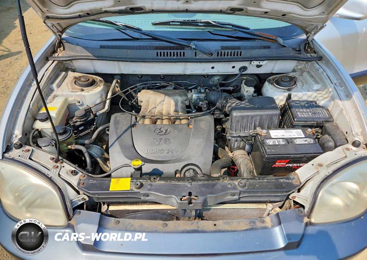 2001 Hyundai Santa Fe Gl VIN:KM8SC83D81U110247 - 12