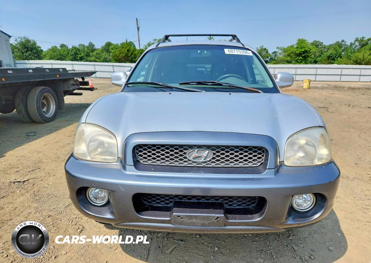 2001 Hyundai Santa Fe Gl VIN:KM8SC83D81U110247 - 5
