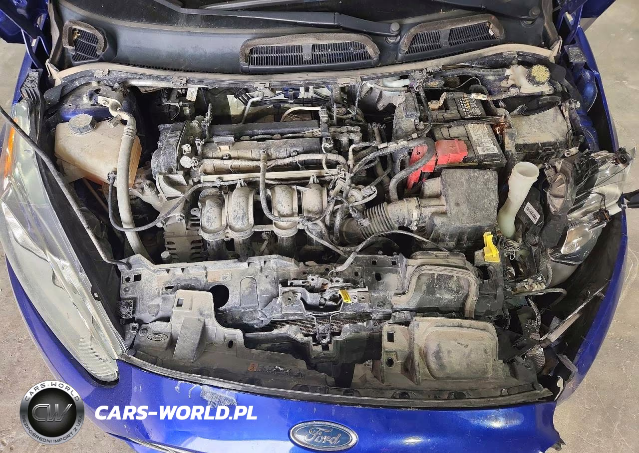 2014 Ford Fiesta VIN:3FADP4FJ2EM169211 - 11
