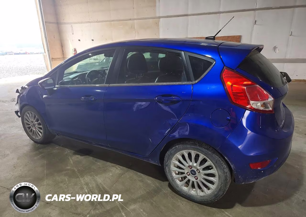 2014 Ford Fiesta VIN:3FADP4FJ2EM169211 - 2