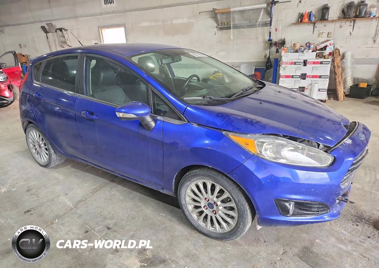 2014 Ford Fiesta VIN:3FADP4FJ2EM169211 - 4