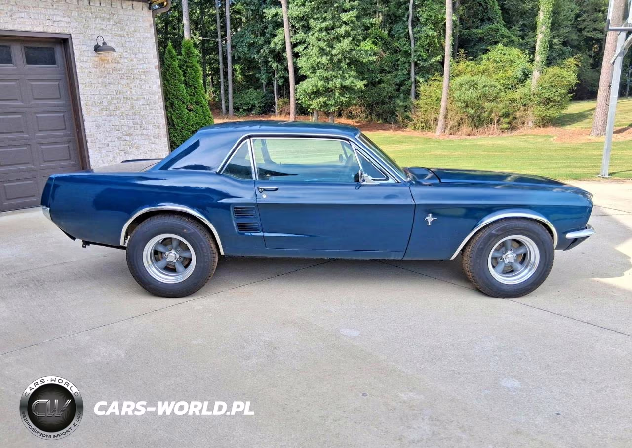 1967 Ford Mustang VIN:7701G252161 - 12