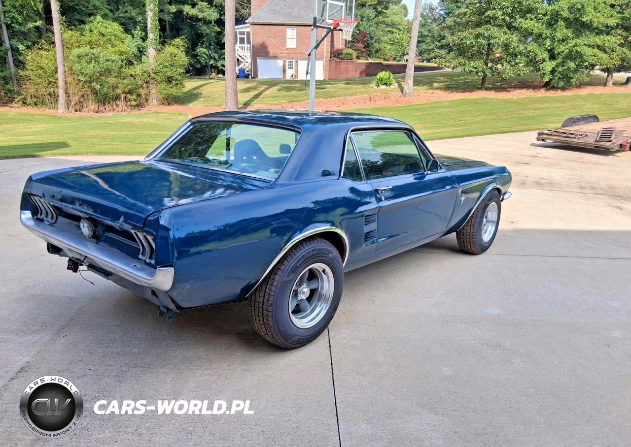 1967 Ford Mustang VIN:7701G252161 - 4