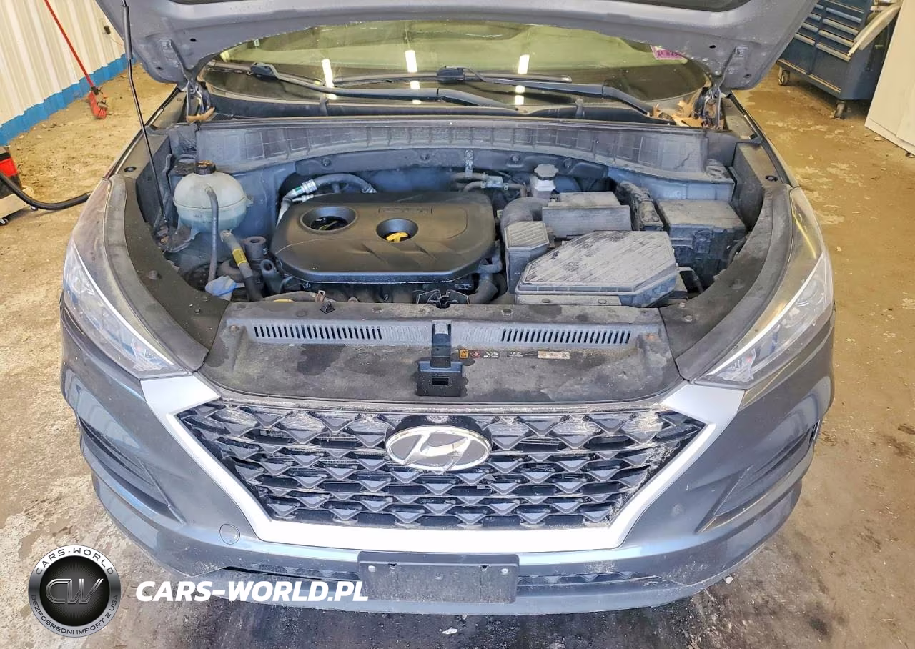 2019 Hyundai Tucson Se VIN:KM8J2CA4XKU956904 - 12