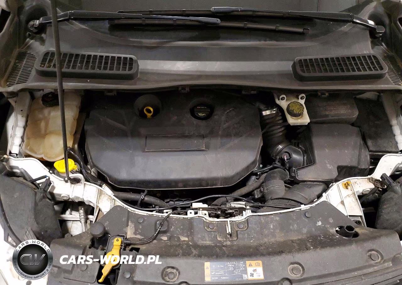 2015 Ford Escape Se VIN:1FMCU9G92FUB94957 - 12