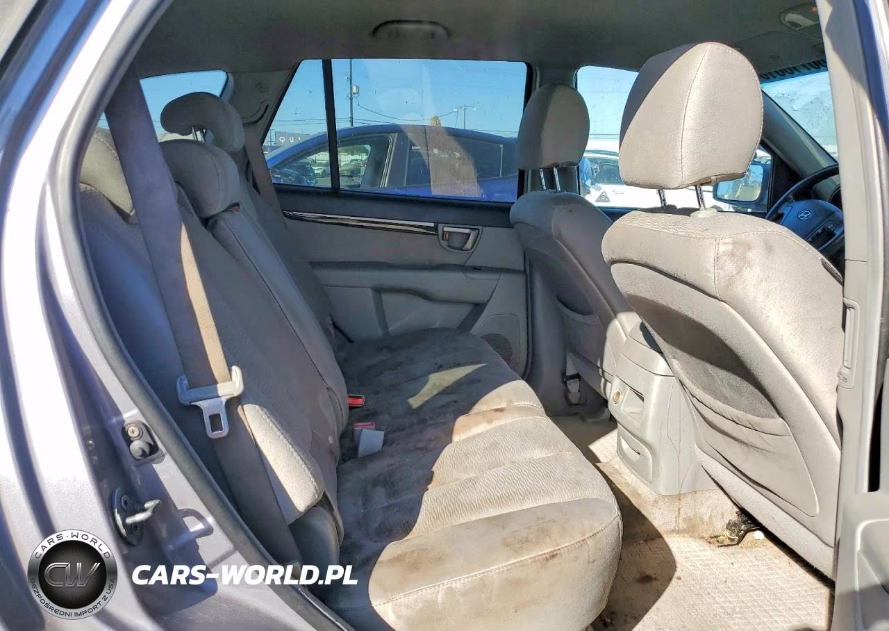 2007 Hyundai Santa Fe Gls VIN:5NMSG13D97H069353 - 11