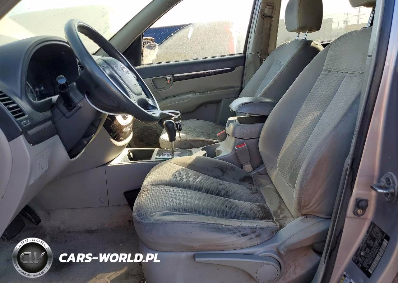 2007 Hyundai Santa Fe Gls VIN:5NMSG13D97H069353 - 7
