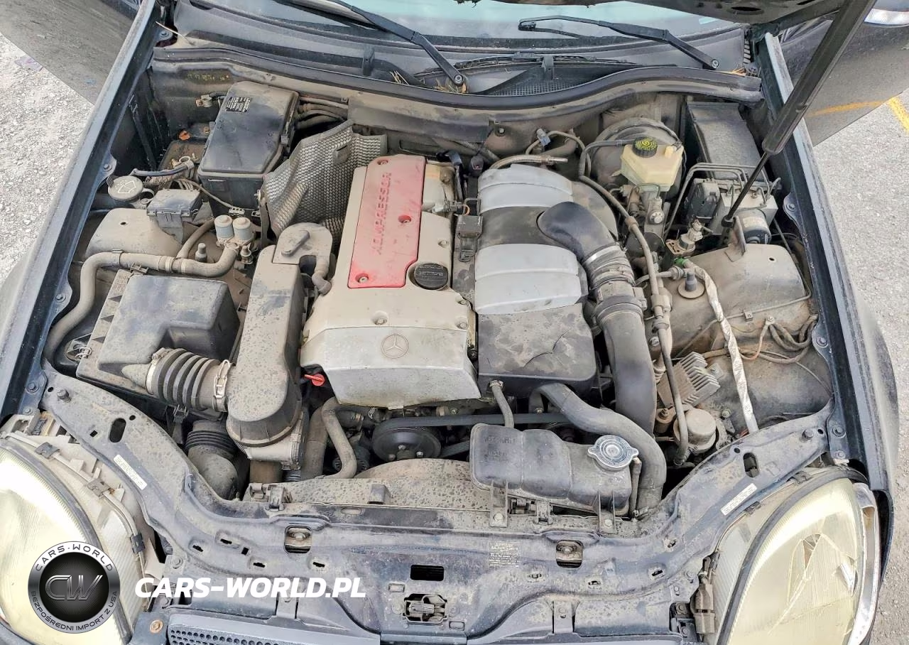 2001 Mercedes-Benz Slk 230 Kompressor VIN:WDBKK49F81F179032 - 11