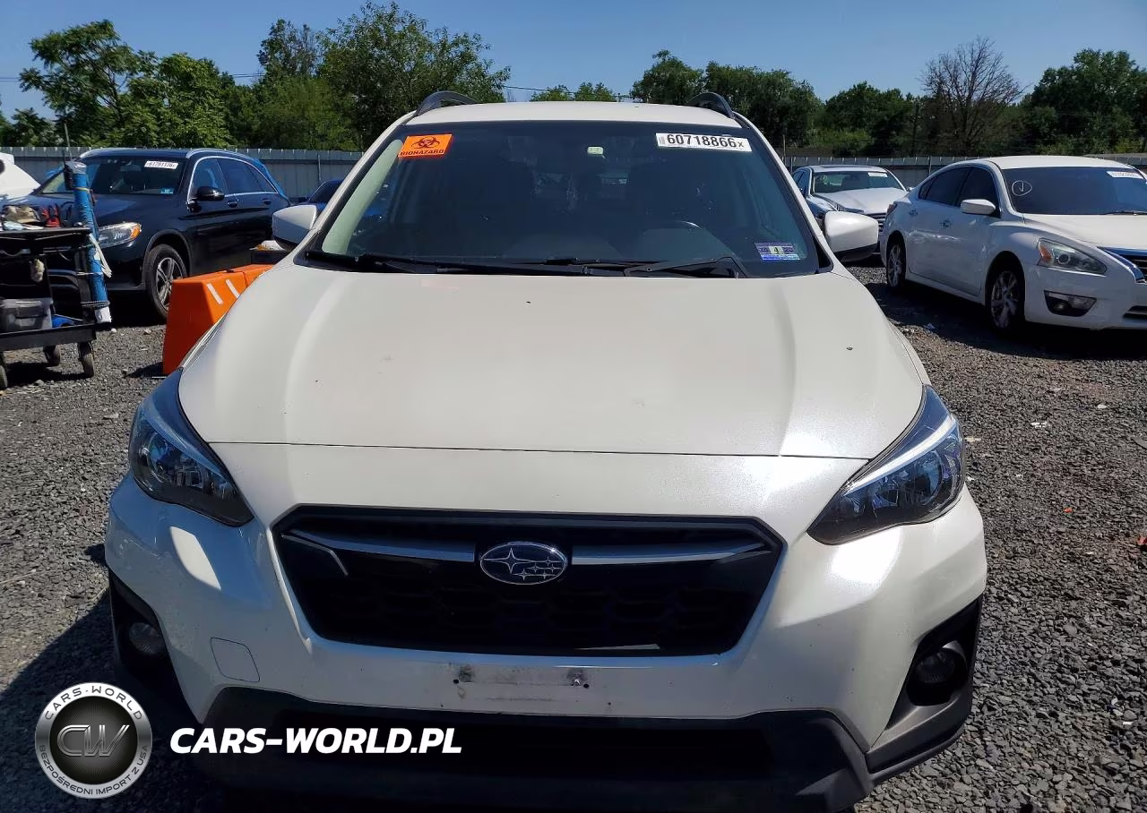 2019 Subaru Crosstrek Premium VIN:JF2GTAEC8K8294011 - 5