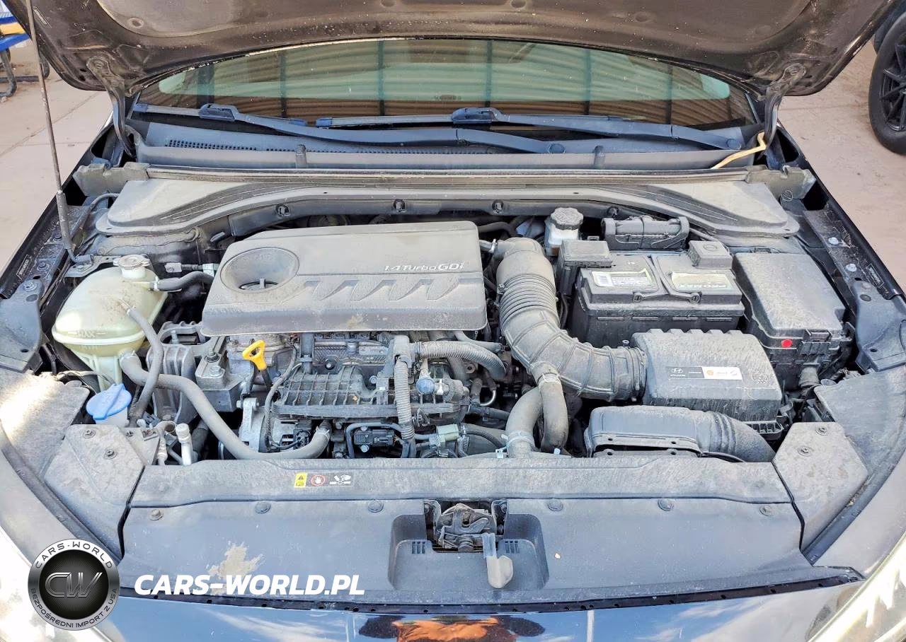 2019 Hyundai Elantra Eco VIN:5NPD94LA6KH431211 - 11