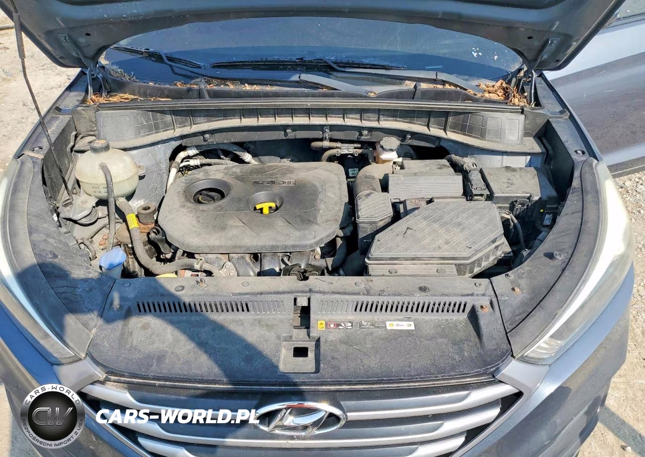 2018 Hyundai Tucson Fuel Cell VIN:KM8J2CA45JU618339 - 12