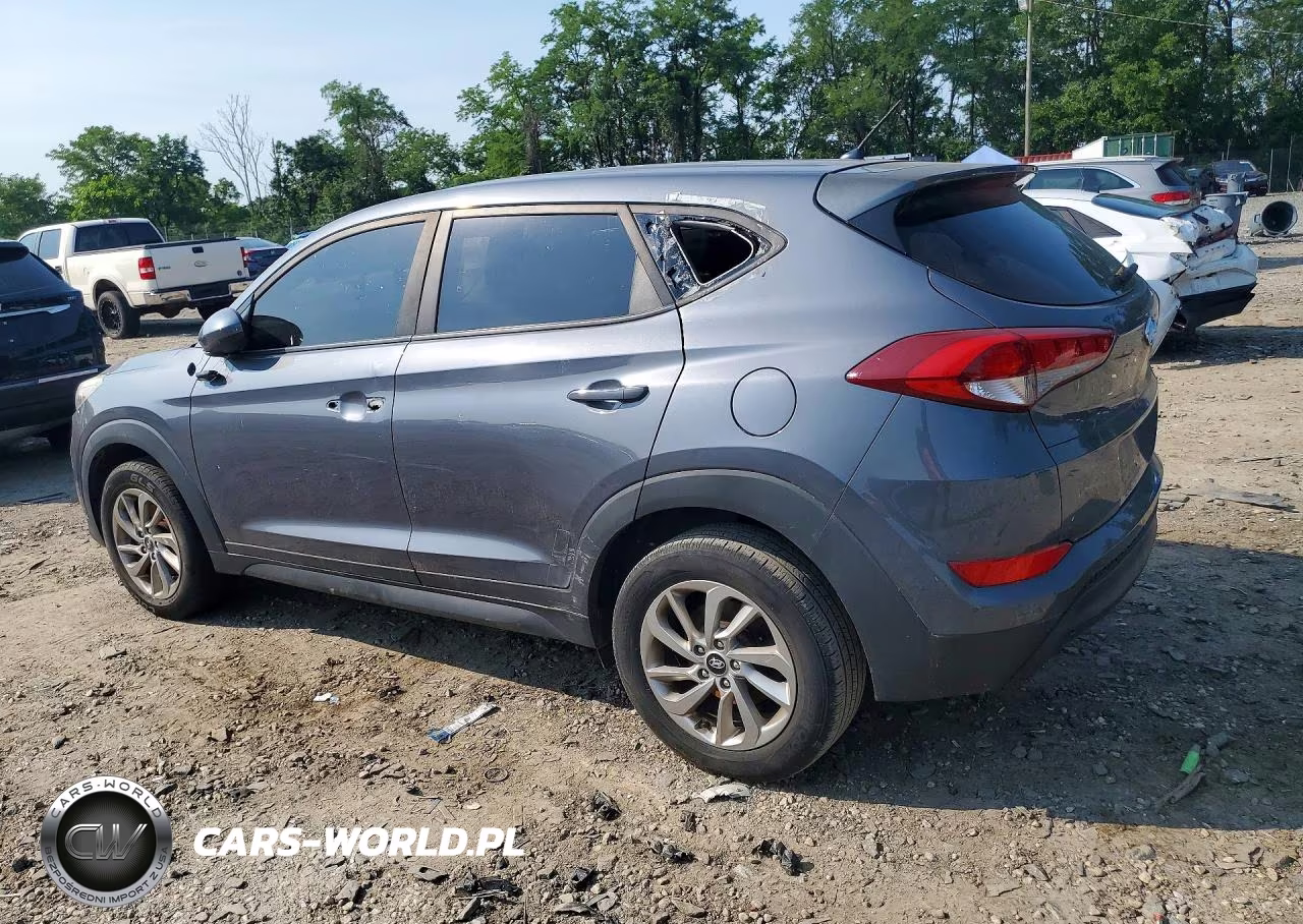 2018 Hyundai Tucson Fuel Cell VIN:KM8J2CA45JU618339 - 2