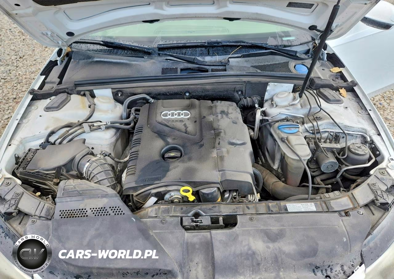 2011 Audi A4 Premium Plus VIN:WAUFFAFL1BN025721 - 11