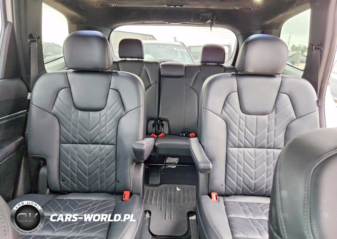 2025 Kia Telluride Sx-Prestige X-Pro VIN:5XYP5DGC2SG633121 - 10
