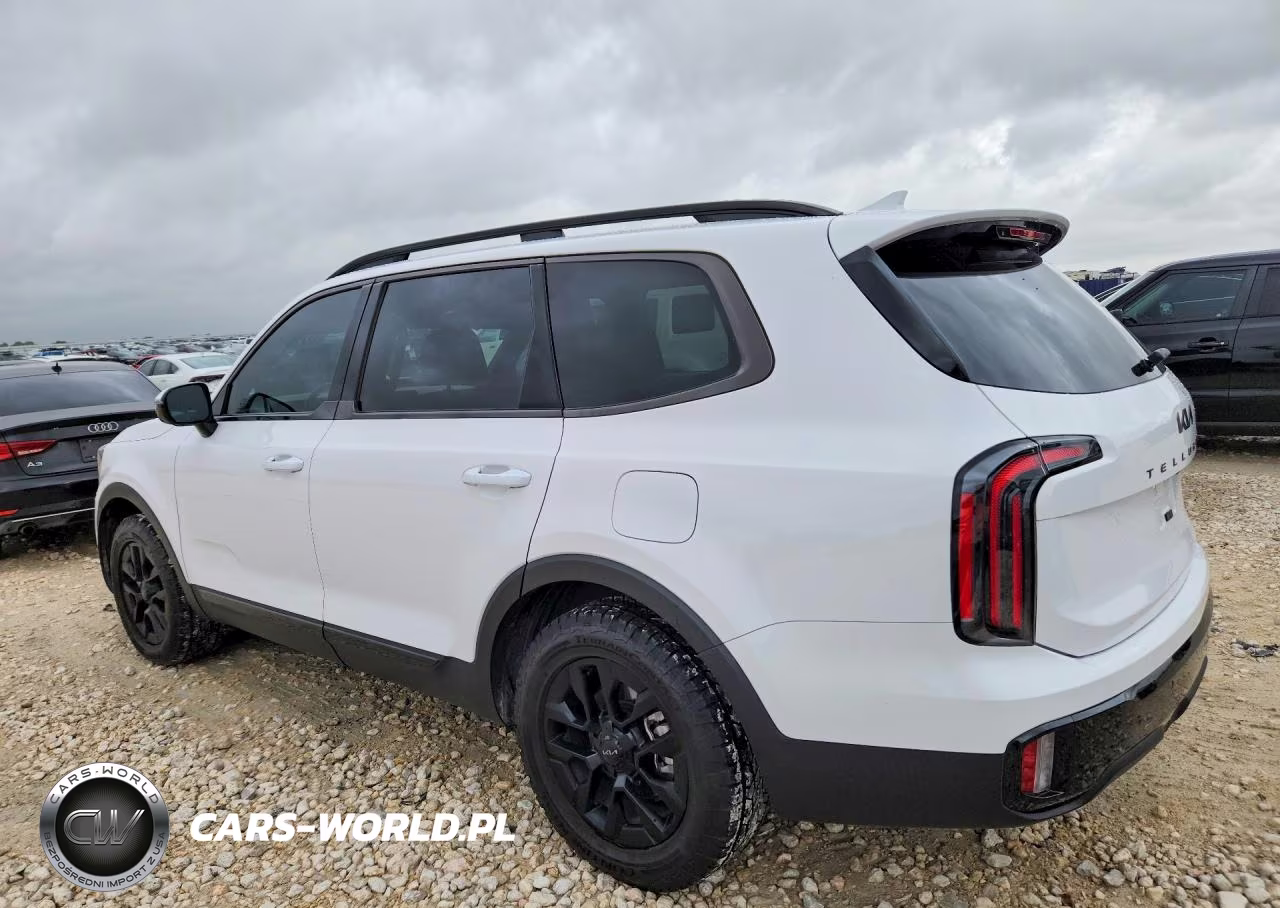 2025 Kia Telluride Sx-Prestige X-Pro VIN:5XYP5DGC2SG633121 - 2