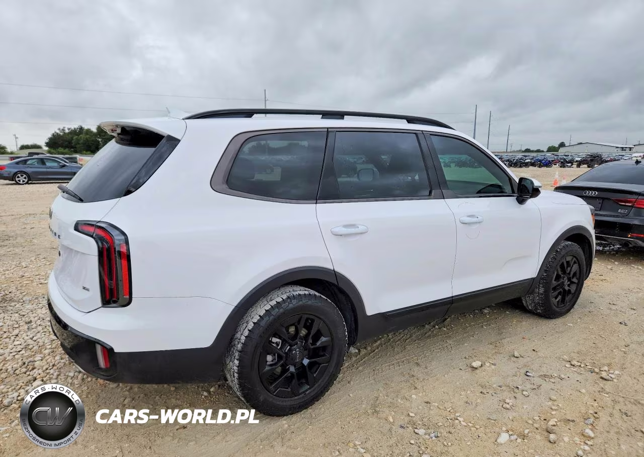 2025 Kia Telluride Sx-Prestige X-Pro VIN:5XYP5DGC2SG633121 - 3