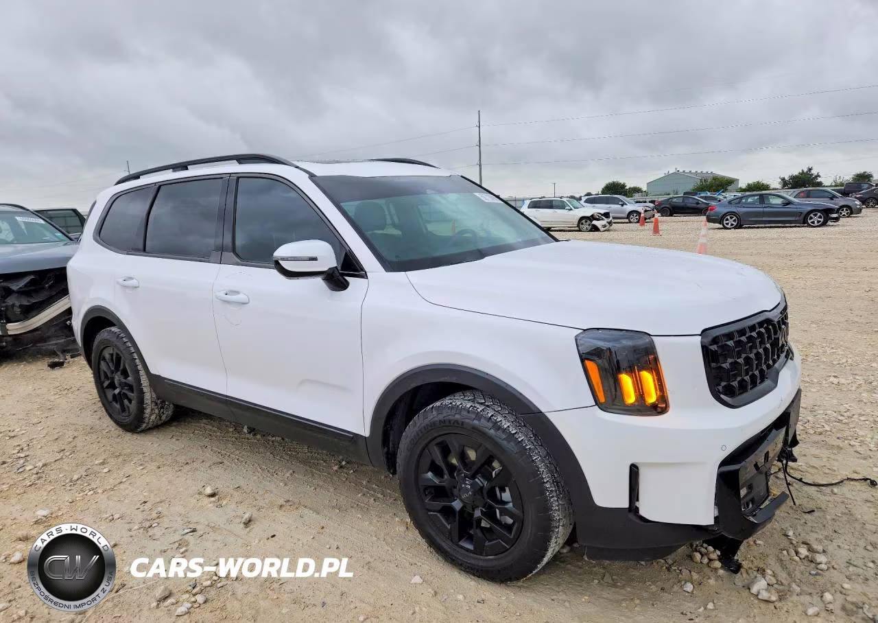 2025 Kia Telluride Sx-Prestige X-Pro VIN:5XYP5DGC2SG633121 - 4
