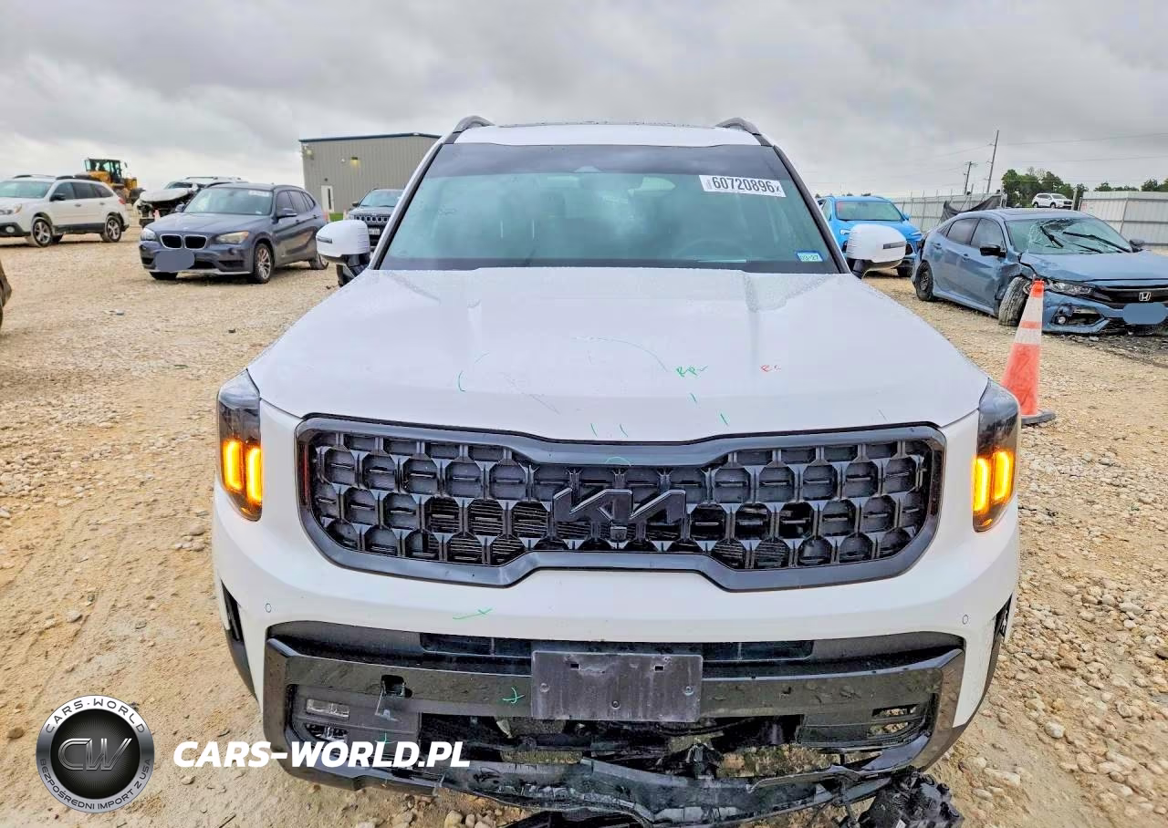 2025 Kia Telluride Sx-Prestige X-Pro VIN:5XYP5DGC2SG633121 - 5