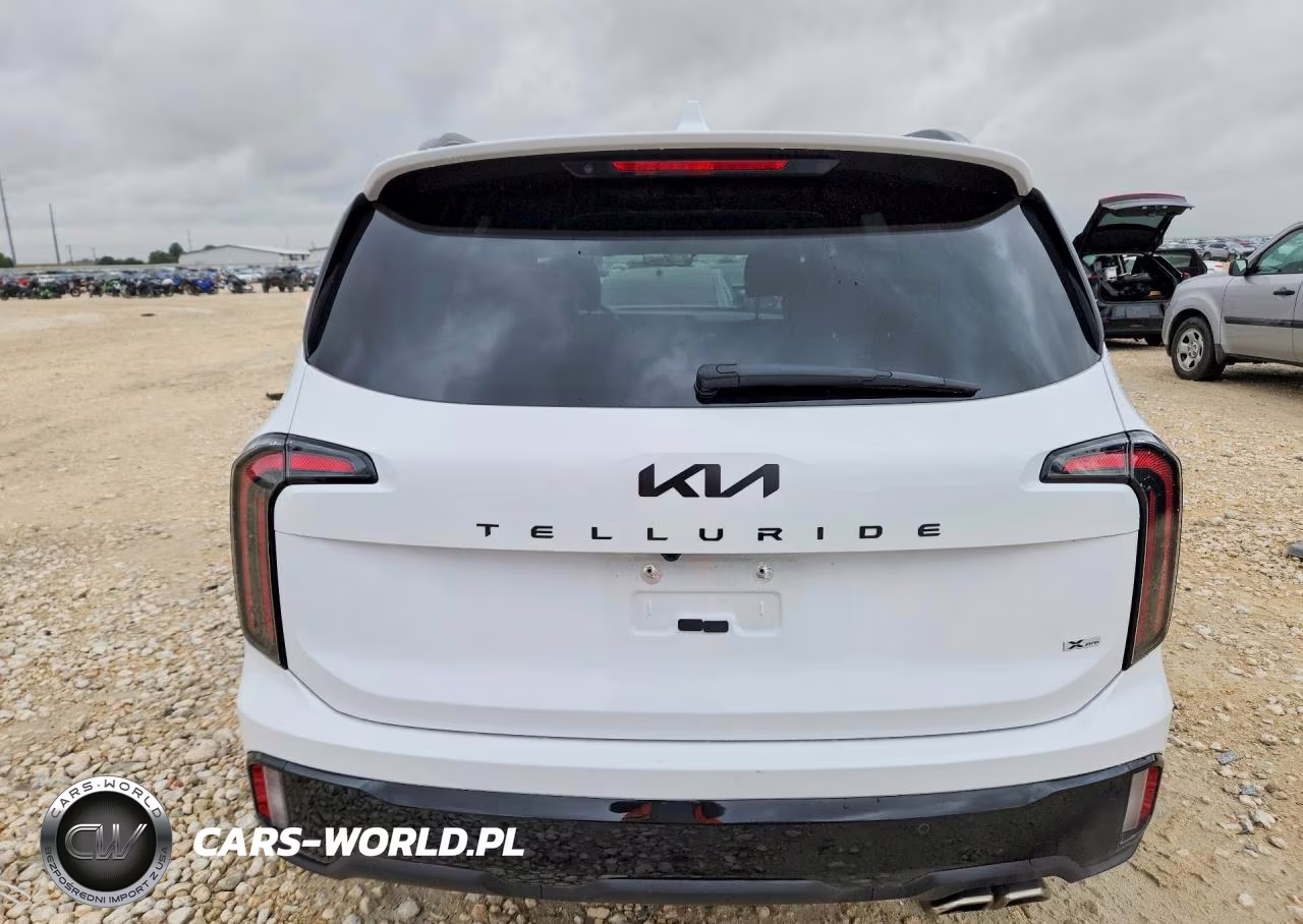 2025 Kia Telluride Sx-Prestige X-Pro VIN:5XYP5DGC2SG633121 - 6