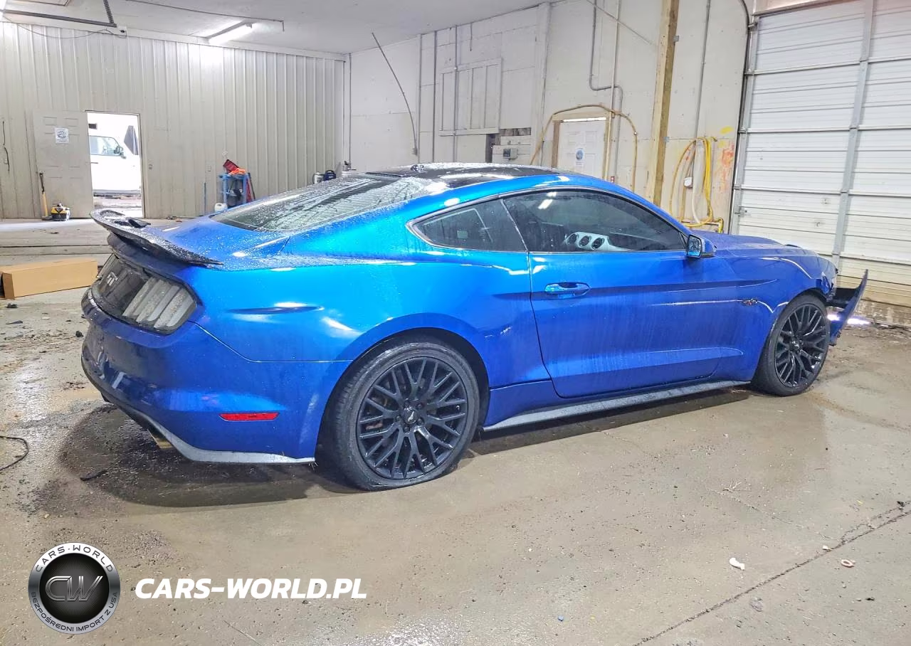 2017 Ford Mustang Gt VIN:1FA6P8CF8H5309188 - 3
