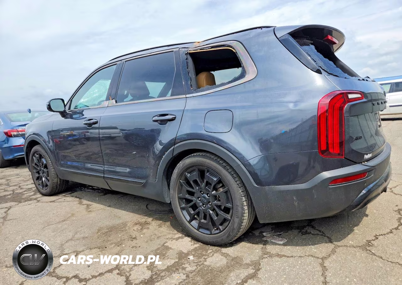 2021 Kia Telluride Sx VIN:5XYP5DHC8MG105603 - 2