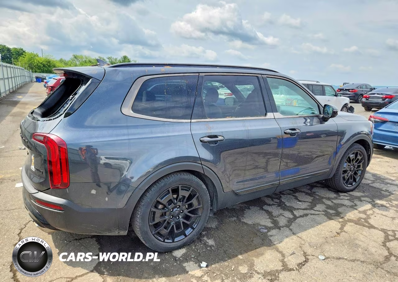 2021 Kia Telluride Sx VIN:5XYP5DHC8MG105603 - 3
