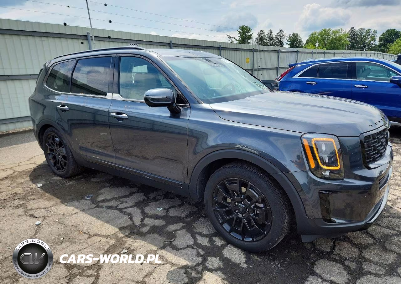 2021 Kia Telluride Sx VIN:5XYP5DHC8MG105603 - 4