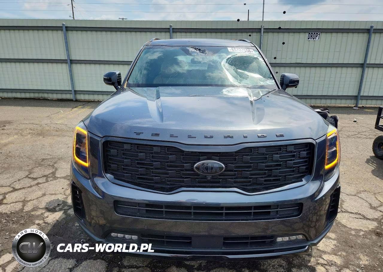 2021 Kia Telluride Sx VIN:5XYP5DHC8MG105603 - 5
