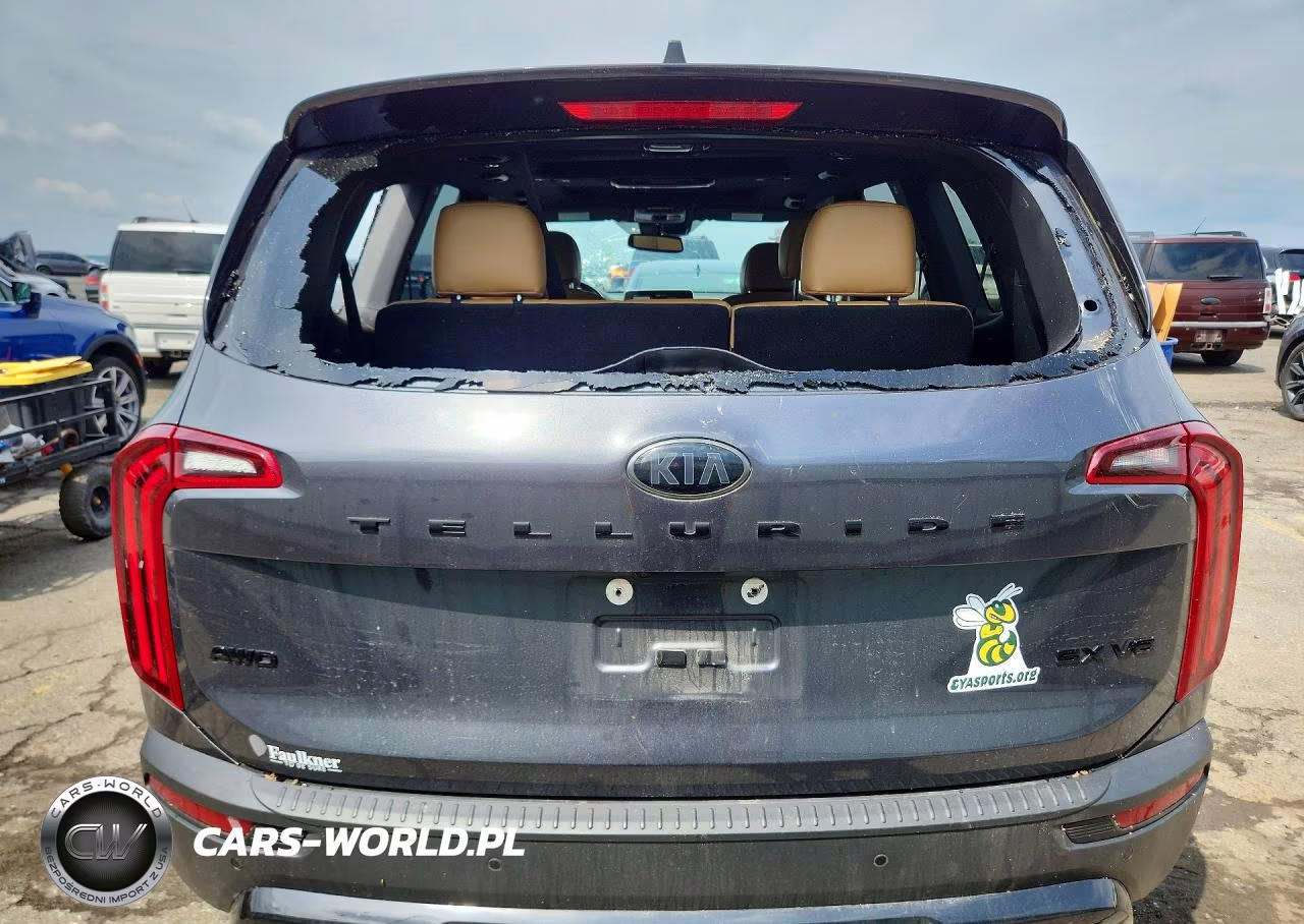 2021 Kia Telluride Sx VIN:5XYP5DHC8MG105603 - 6