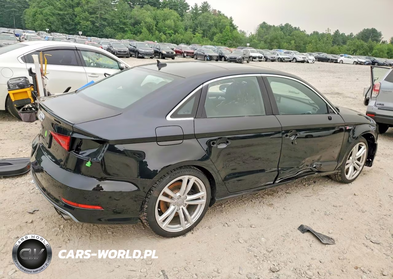 2016 Audi S3 Premium Plus VIN:WAUB1GFF8G1076044 - 3