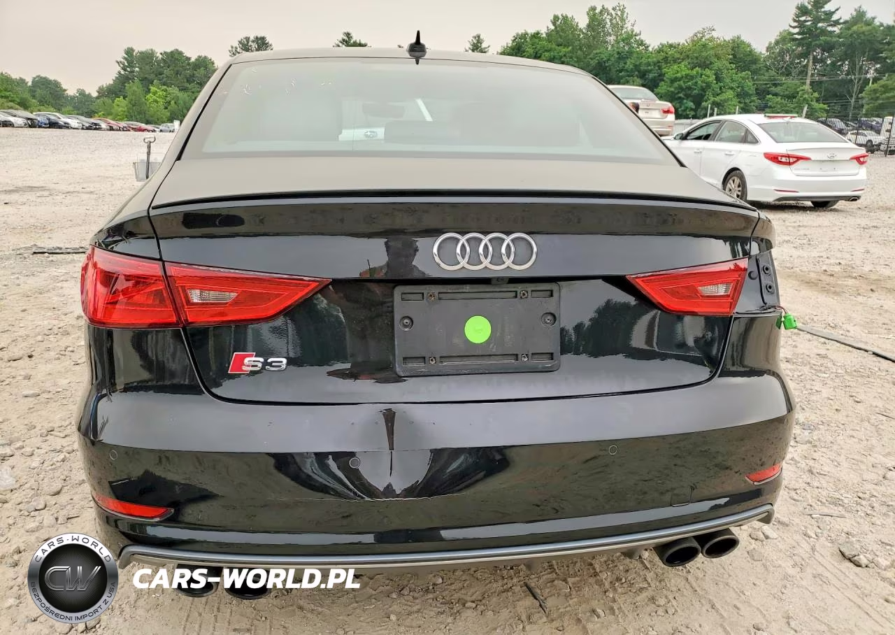 2016 Audi S3 Premium Plus VIN:WAUB1GFF8G1076044 - 6