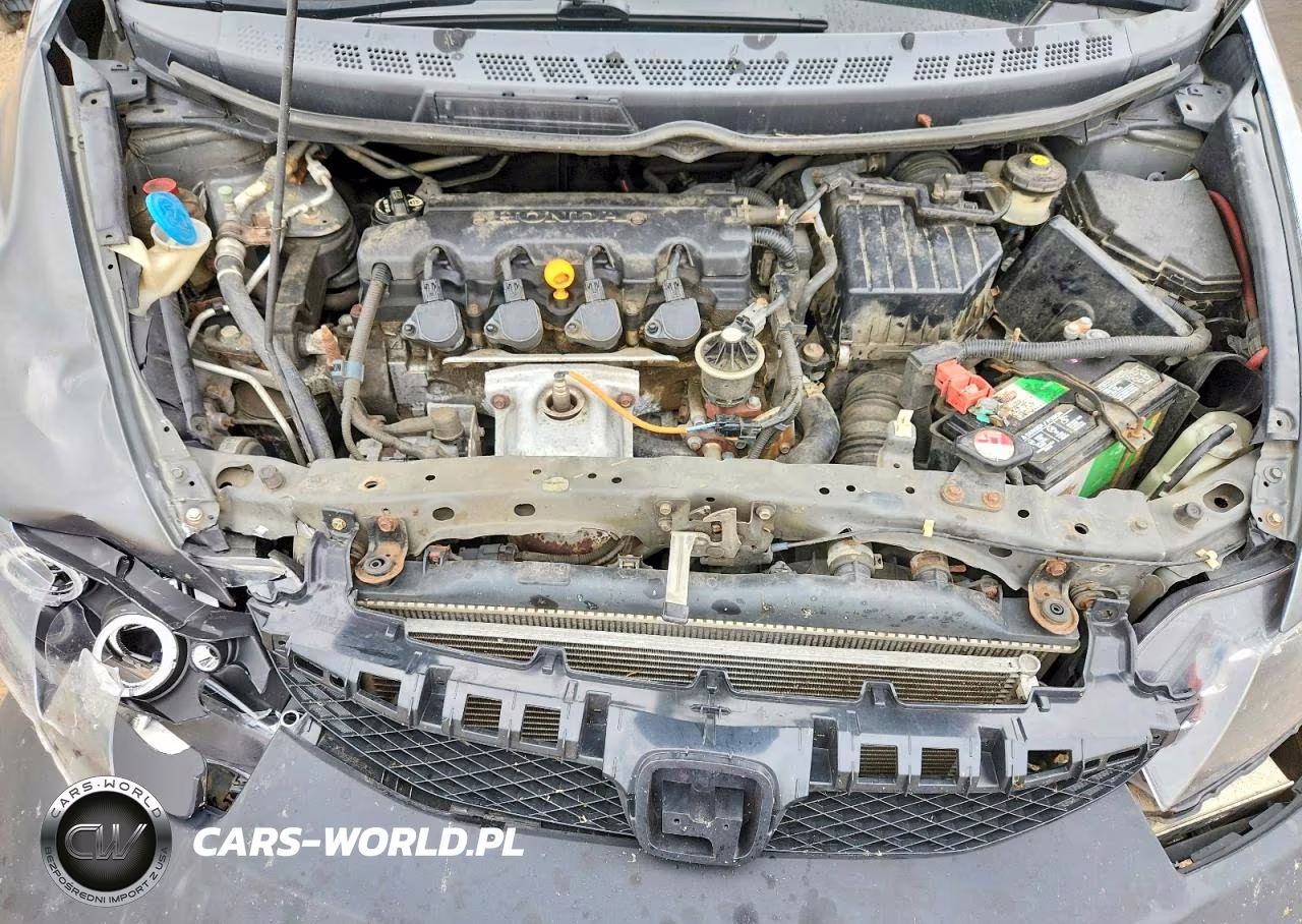 2010 Honda Civic Lx VIN:2HGFA1F59AH308976 - 11