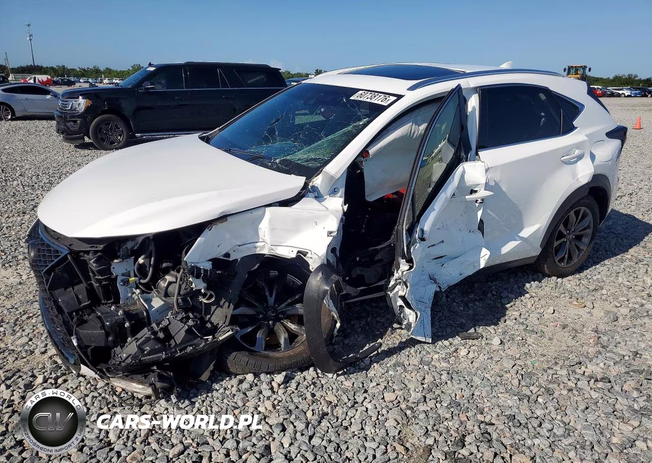 2019 Lexus Nx 300 F Sport