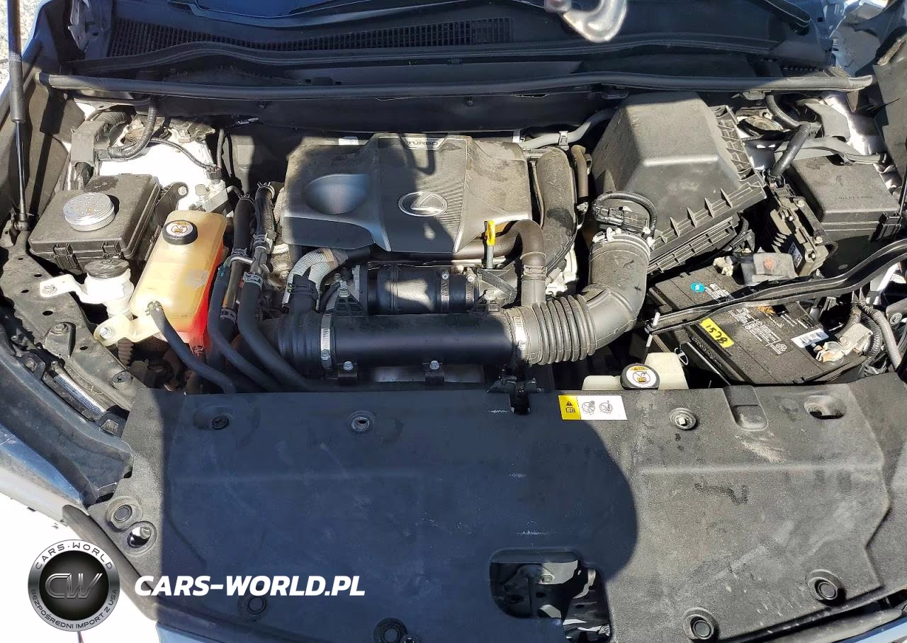 2019 Lexus Nx 300 F Sport VIN:JTJYARBZXK2118318 - 11