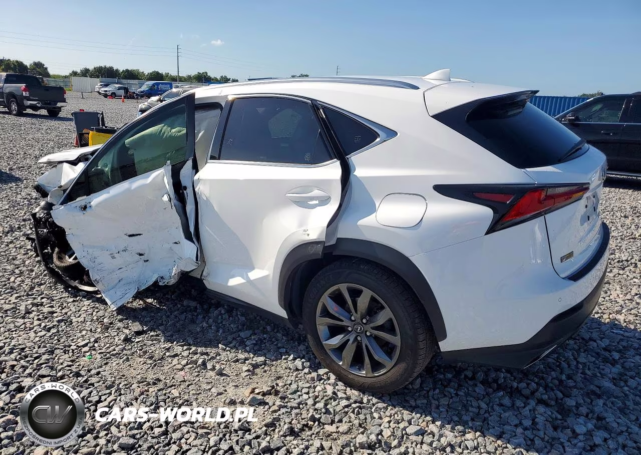 2019 Lexus Nx 300 F Sport VIN:JTJYARBZXK2118318 - 2