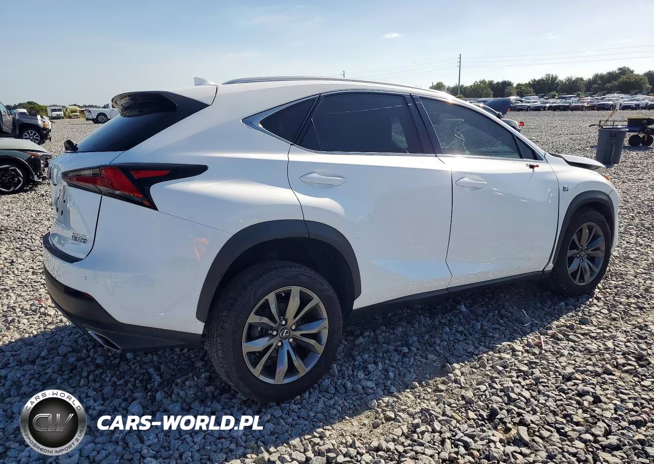 2019 Lexus Nx 300 F Sport VIN:JTJYARBZXK2118318 - 3