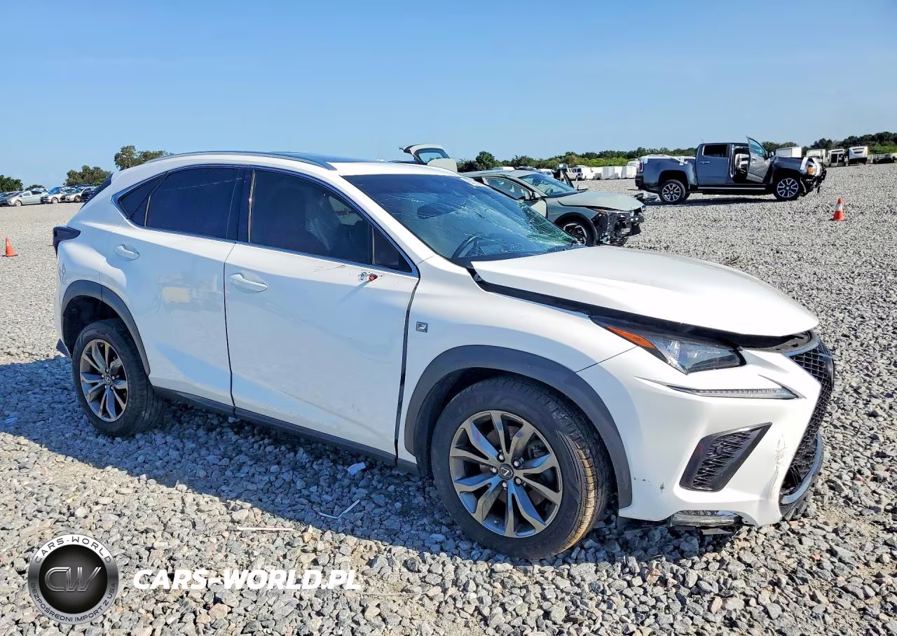 2019 Lexus Nx 300 F Sport VIN:JTJYARBZXK2118318 - 4